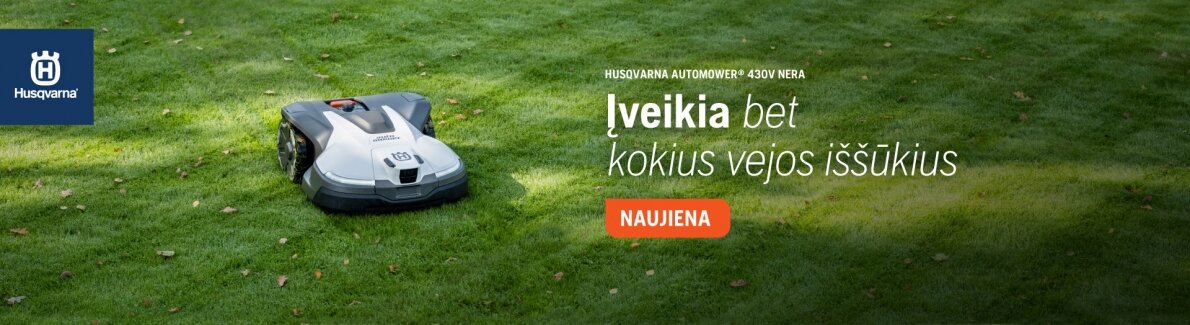 Kalėdiniai pasiūlymai